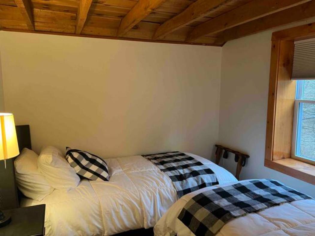 Froggy Goggle Barn Apartment Marathon